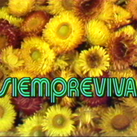 1988.Siempre Viva_0