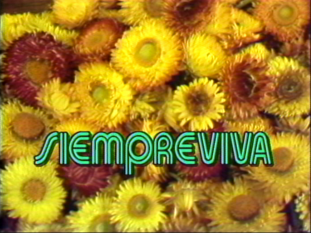 1988.Siempre Viva_0